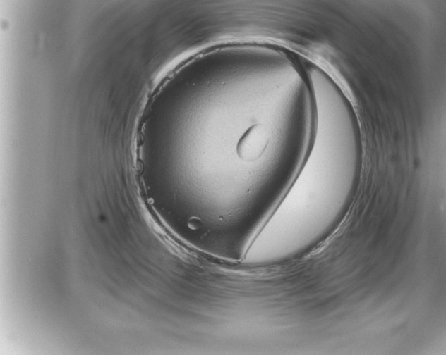 X0000087591388200705041458