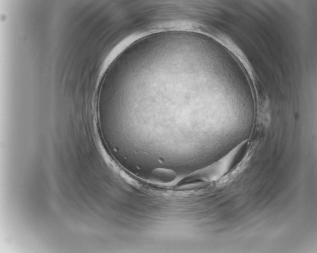 X0000087591389200705041458