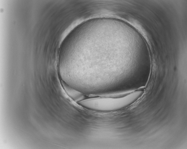 X0000087591390200705041458