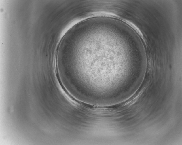 X0000087591391200705041458