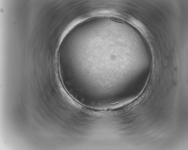 X0000087591392200705041458