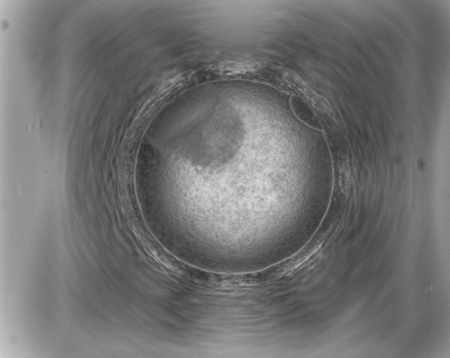 X0000087591393200705041457