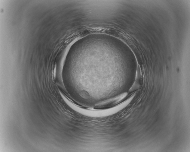 X0000087591394200705041457