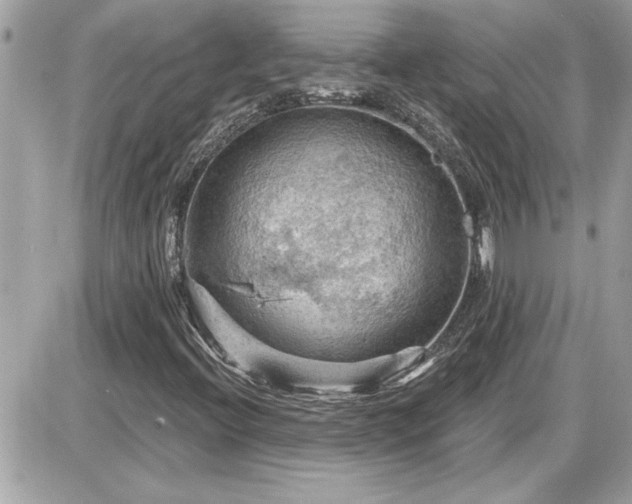 X0000087591396200705041457