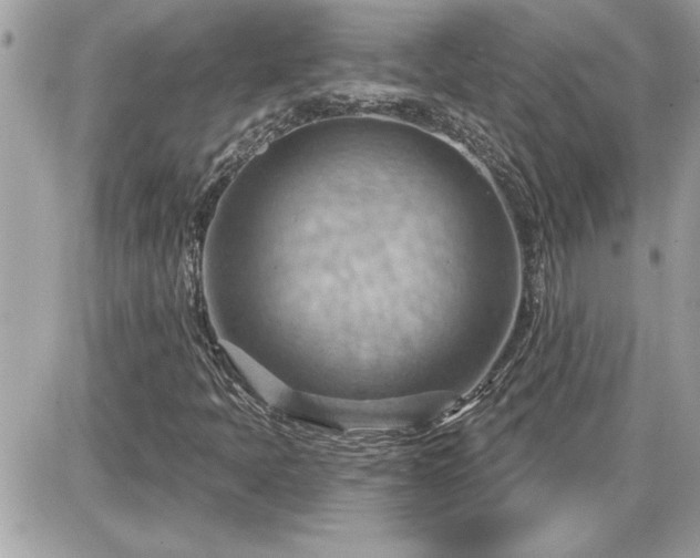 X0000087591397200705041457