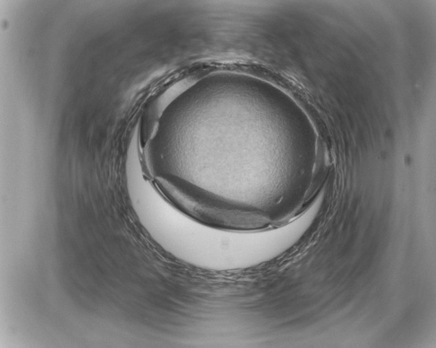 X0000087591398200705041457