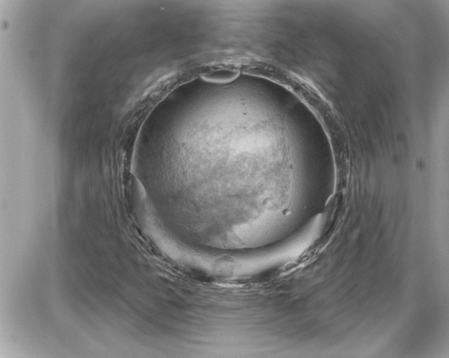 X0000087591399200705041457