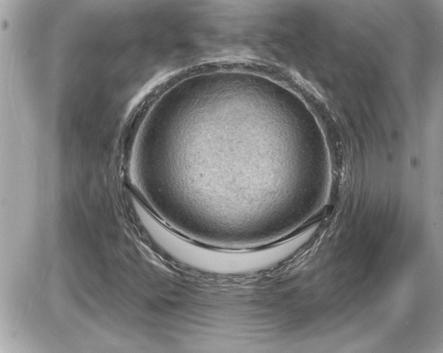 X0000087591400200705041457