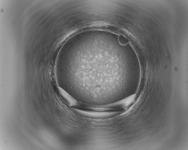 X0000087591401200705041457