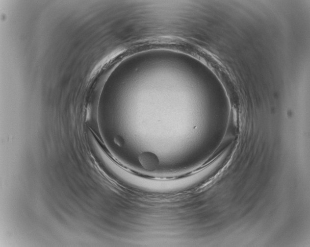 X0000087591402200705041457