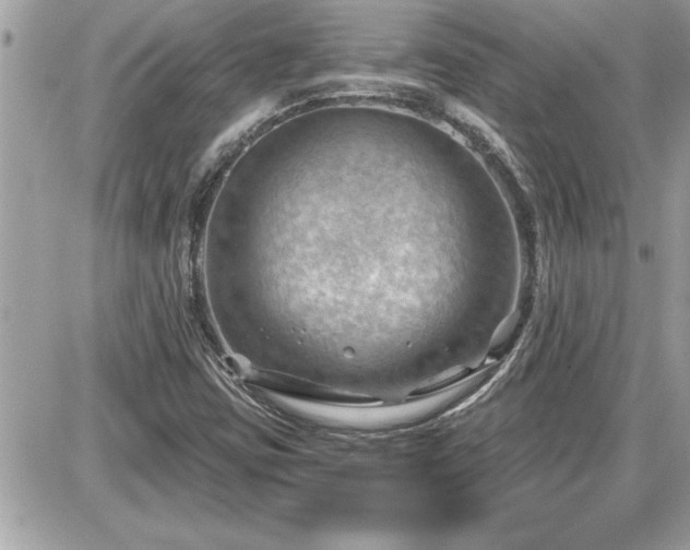 X0000087591403200705041457