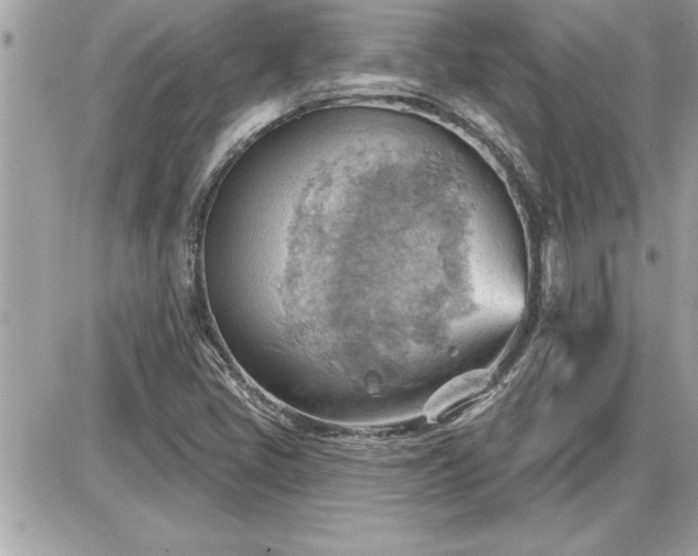 X0000087591405200705041457