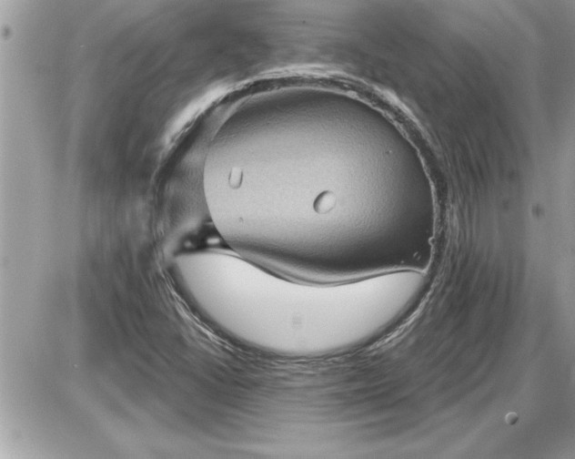 X0000087591406200705041457