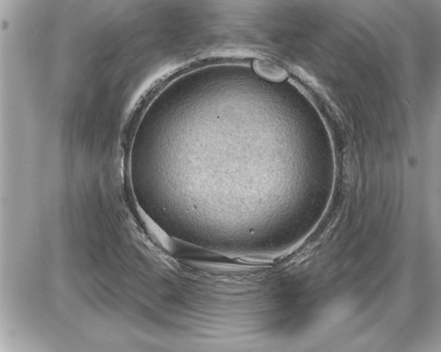 X0000087591408200705041457