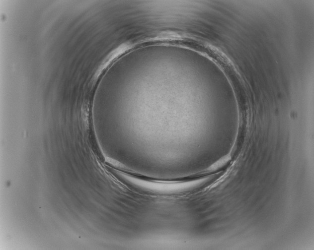 X0000087591409200705041457