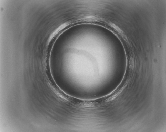 X0000087591410200705041457