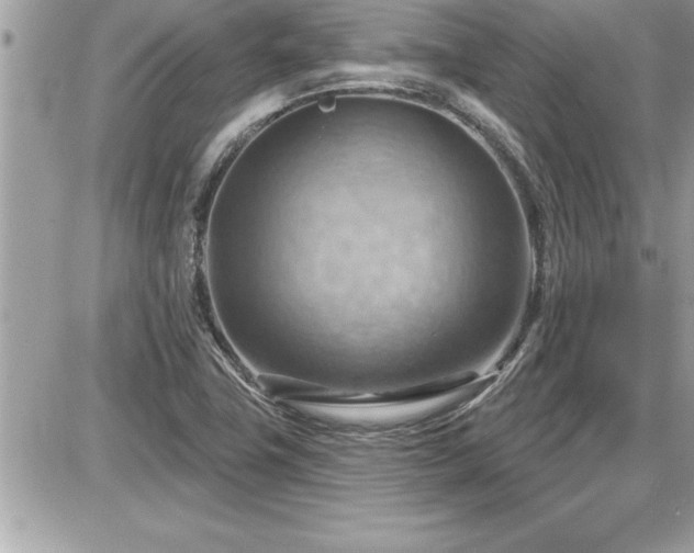 X0000087591411200705041457