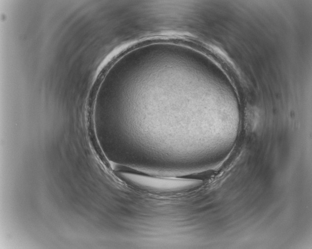 X0000087591412200705041457