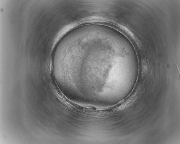 X0000087591413200705041457