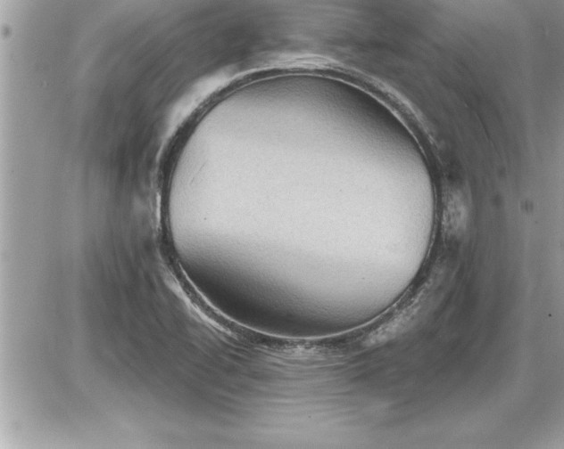 X0000087591414200705041457