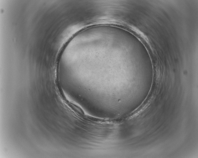 X0000087591415200705041457