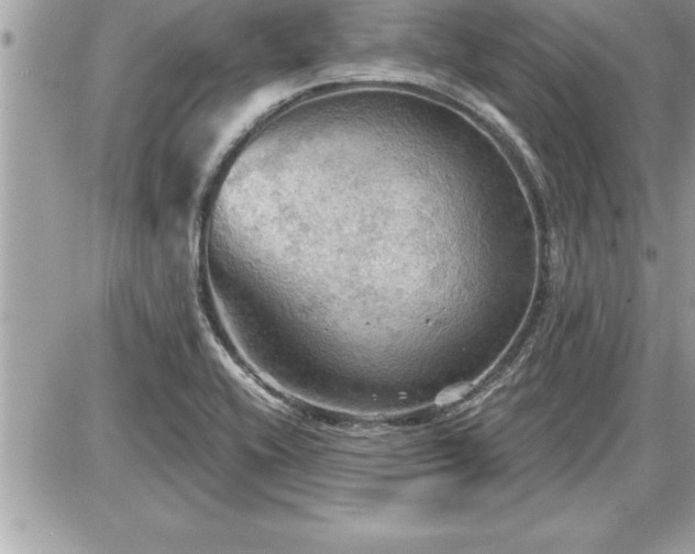 X0000087591416200705041457