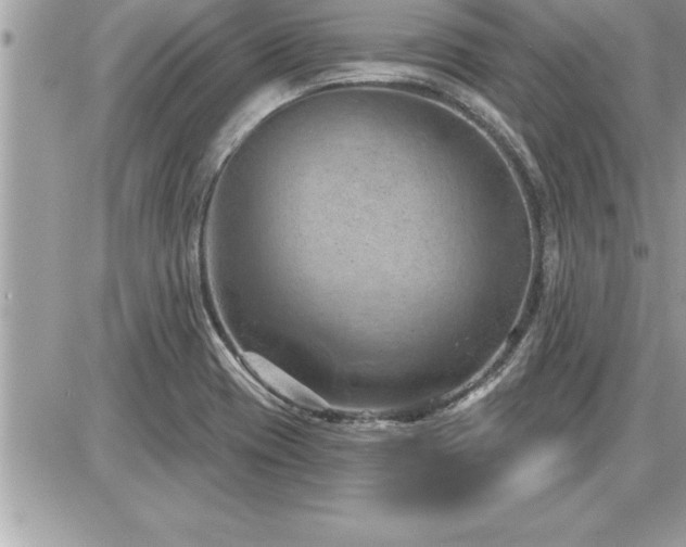 X0000087591417200705041457