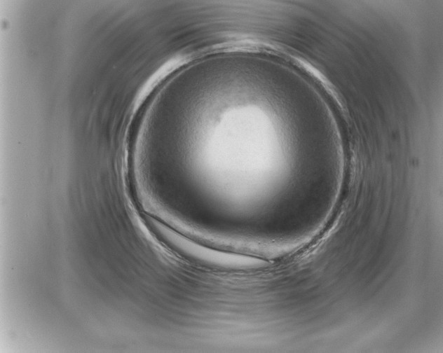 X0000087591418200705041457