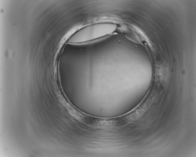 X0000087591419200705041457