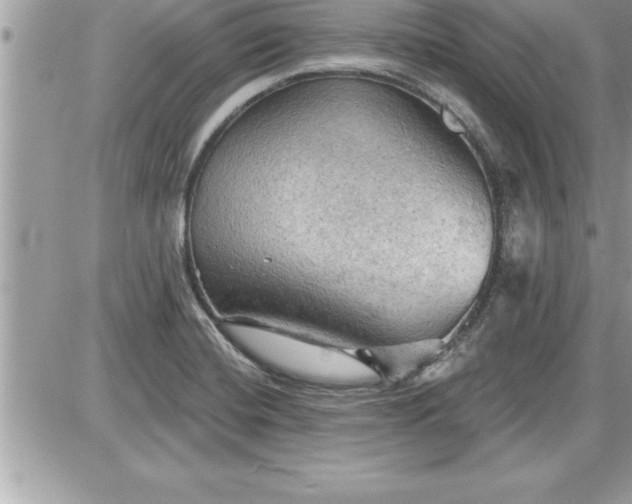 X0000087591420200705041457