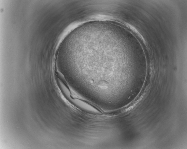 X0000087591421200705041457