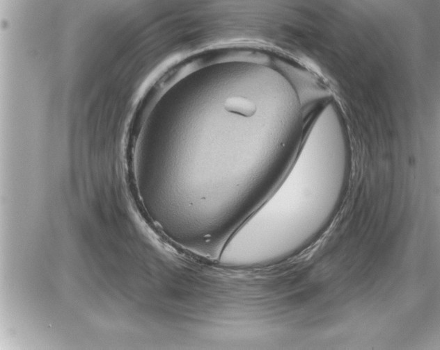 X0000087591422200705041457