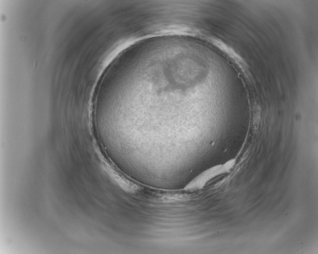 X0000087591423200705041457