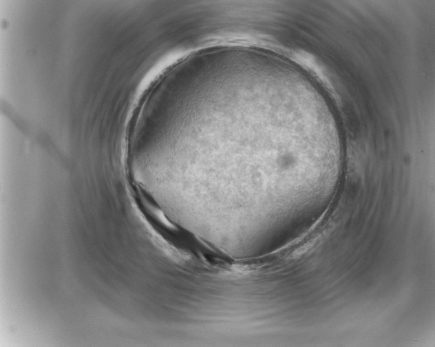 X0000087591424200705041457