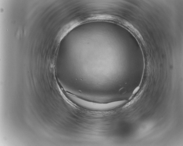 X0000087591425200705041457