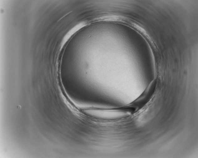 X0000087591426200705041457