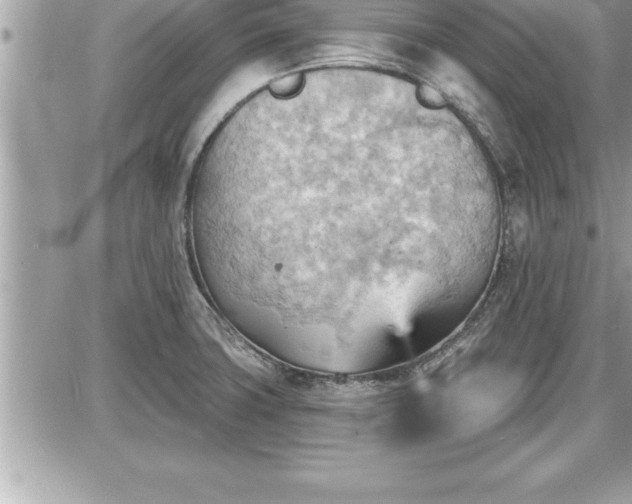 X0000087591427200705041458