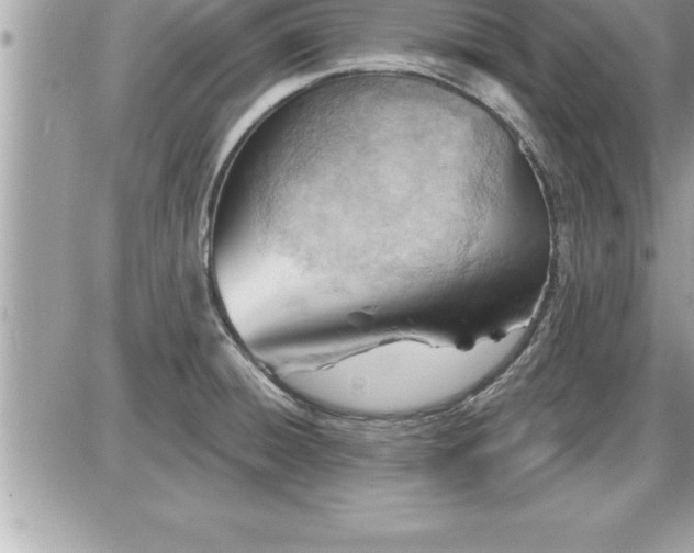 X0000087591428200705041458