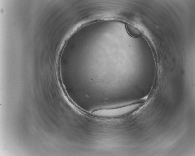 X0000087591429200705041458