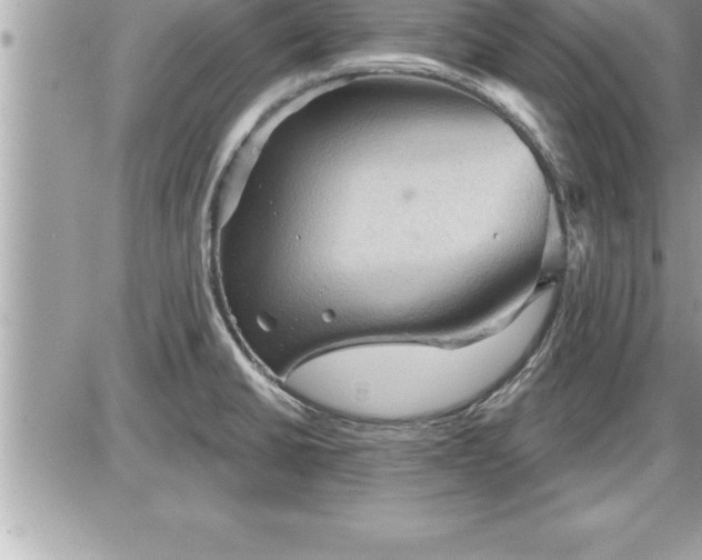 X0000087591430200705041458