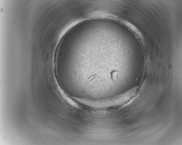 X0000087591431200705041458