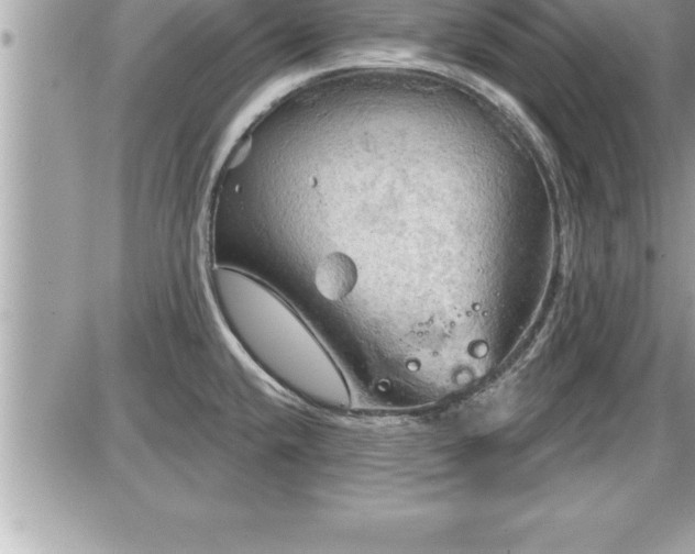 X0000087591432200705041458