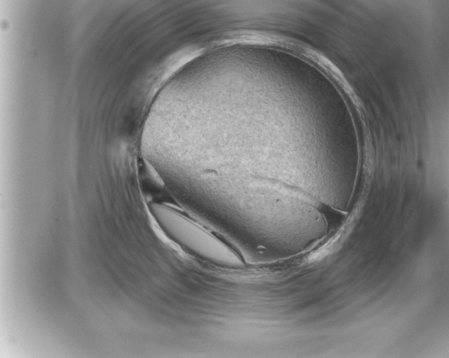 X0000087591433200705041458