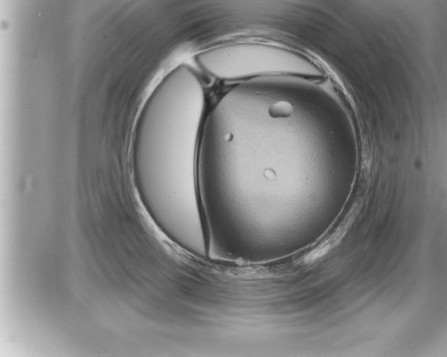 X0000087591434200705041458