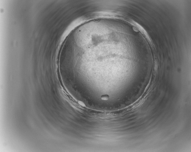 X0000087591435200705041458