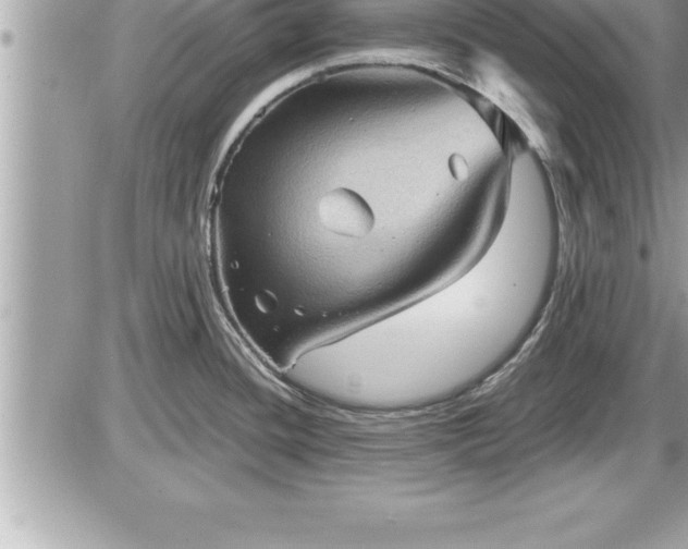 X0000087591436200705041458