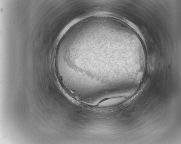 X0000087591437200705041458