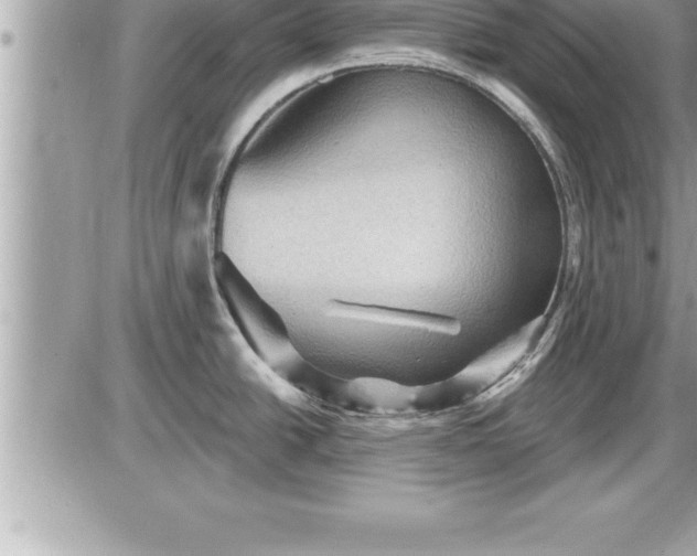 X0000087591438200705041458