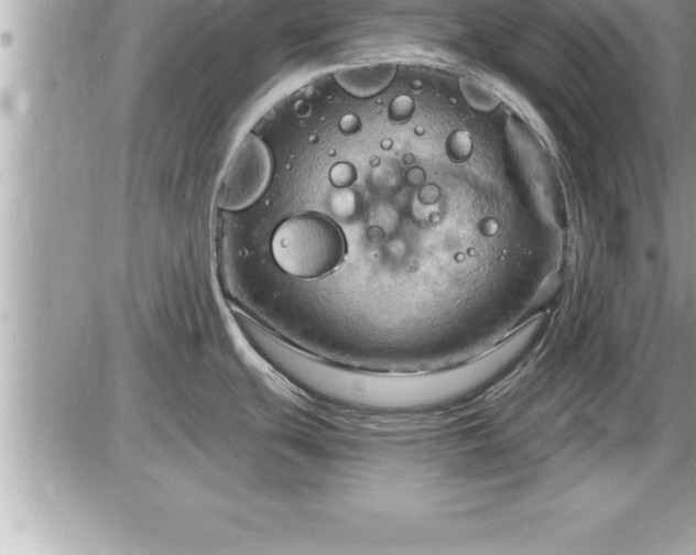 X0000087591439200705041458