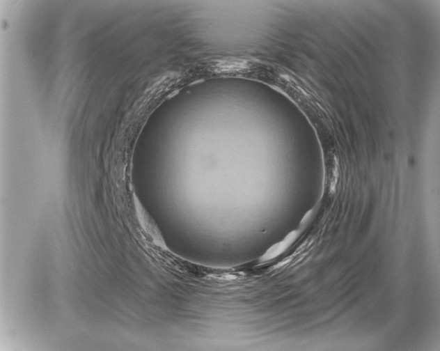 X0000087591441200705041457